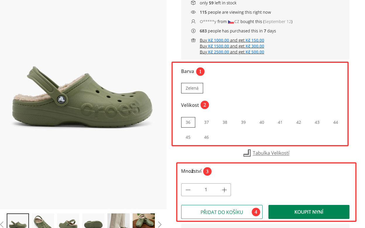 Vložen&yacute; obr&aacute;zek